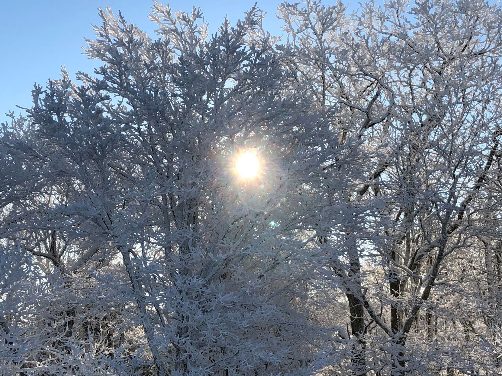 Bright Snowy Day